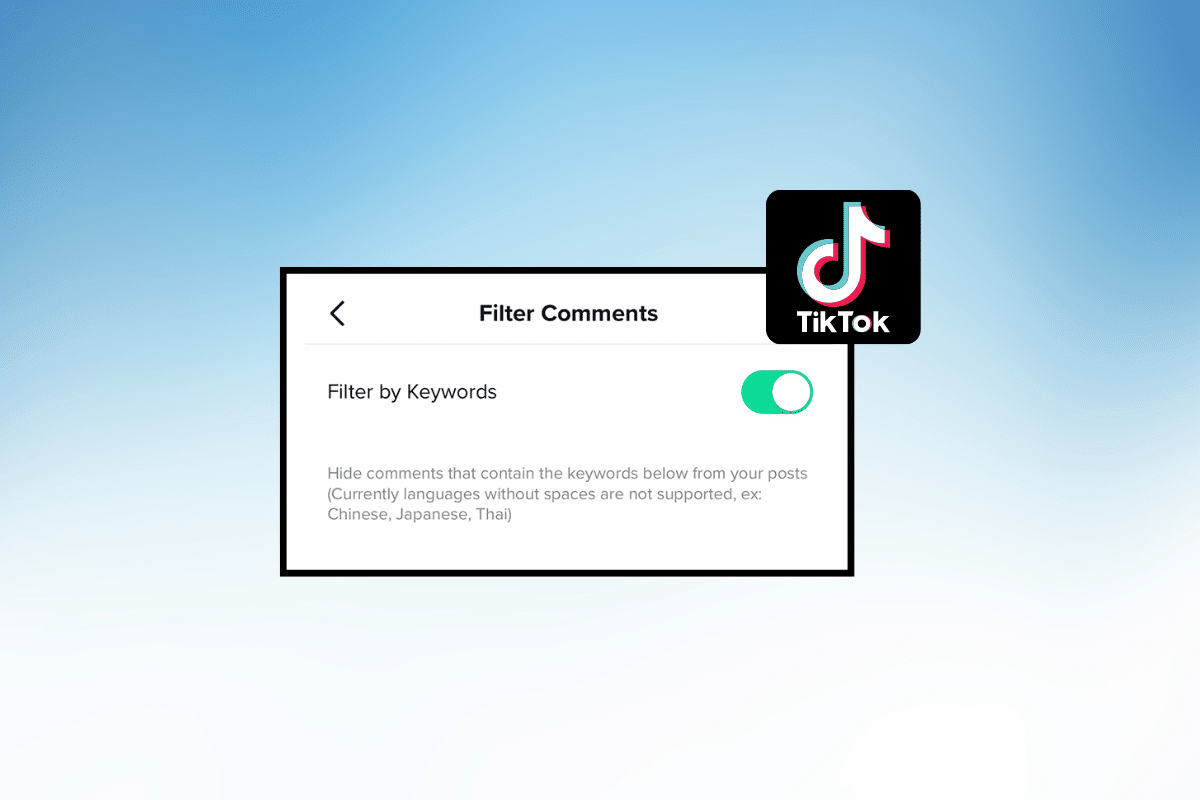 So filtern Sie Wörter in TikTok-Kommentaren heraus