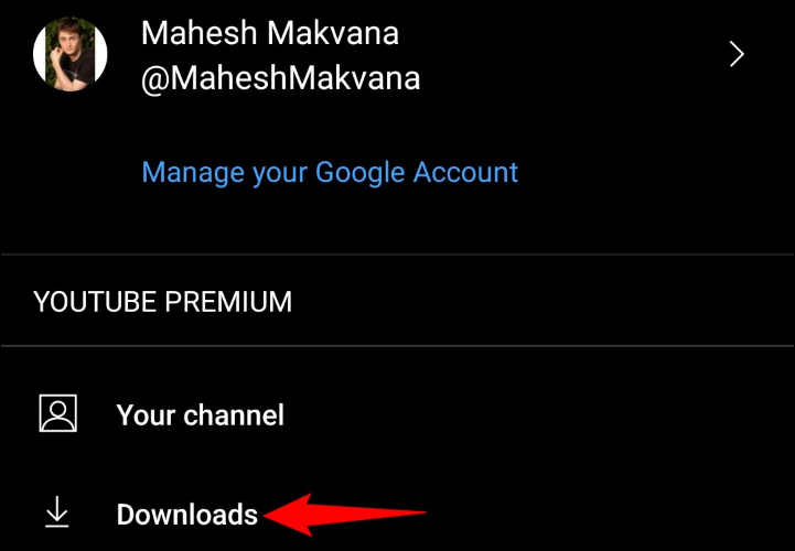 Seleziona "Download".