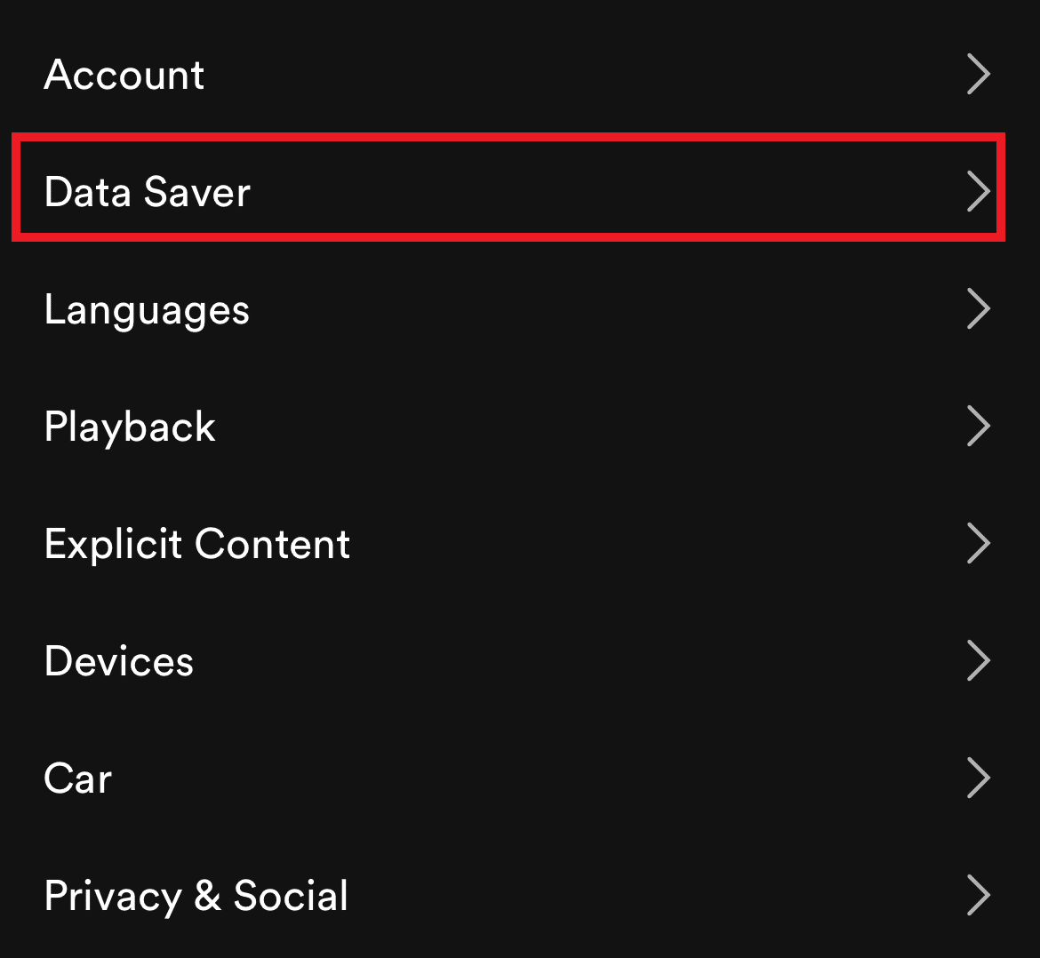 データセーバーをタップします。 Spotifyキャンバスが表示されない問題を修正