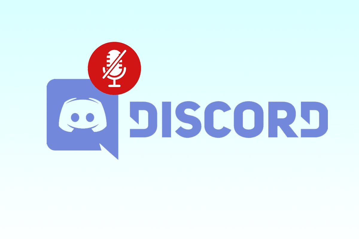 Come silenziare il microfono in Discord