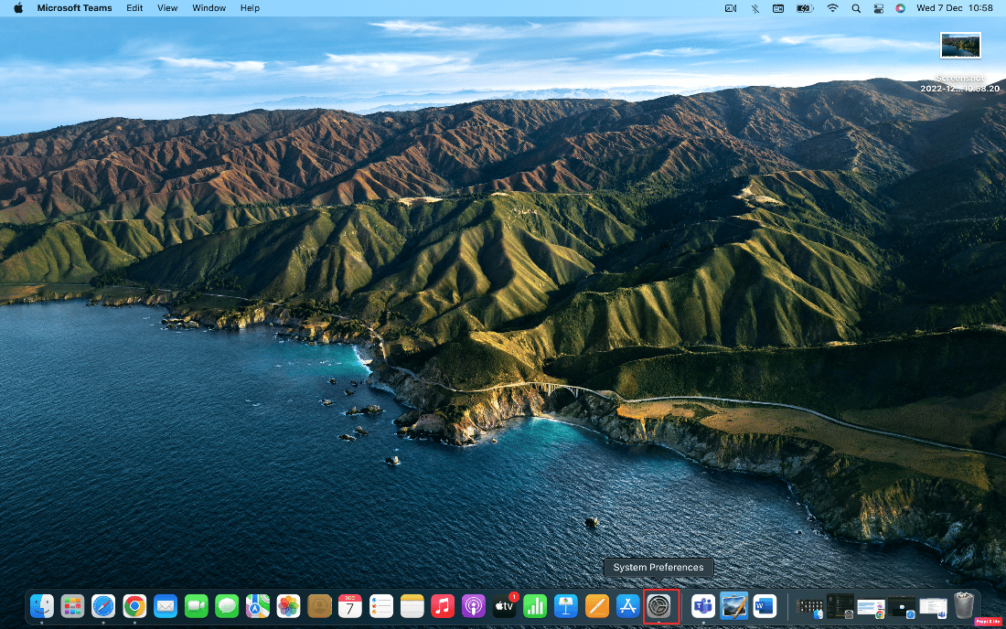 ir a preferencias del sistema | El video FaceTime no funciona en Mac