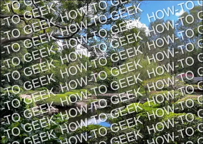 Un filigran ridicol How-To Geek