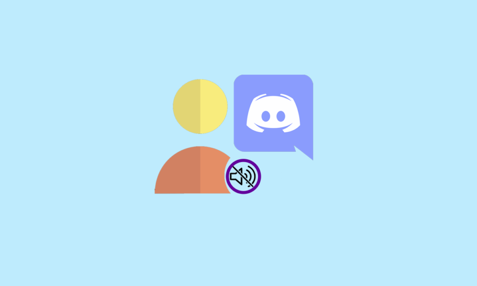 Come silenziare qualcuno su Discord come amministratore