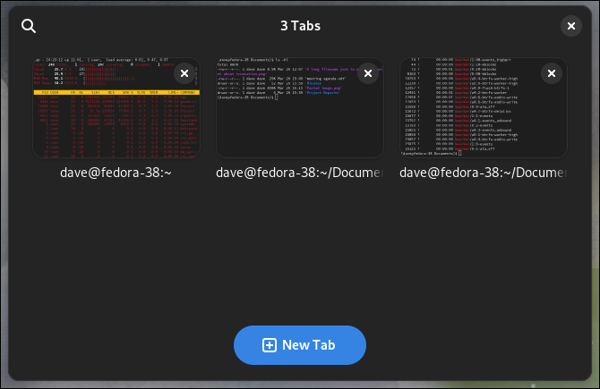 Der Terminal-Emulator der GNOME-Konsole zeigt die Tab-Übersicht