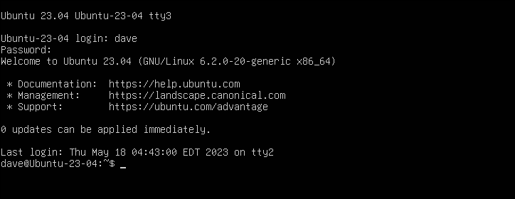 ターミナル画面上の Ubuntu ログイン メッセージ