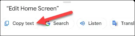 Toque em "Copiar texto".