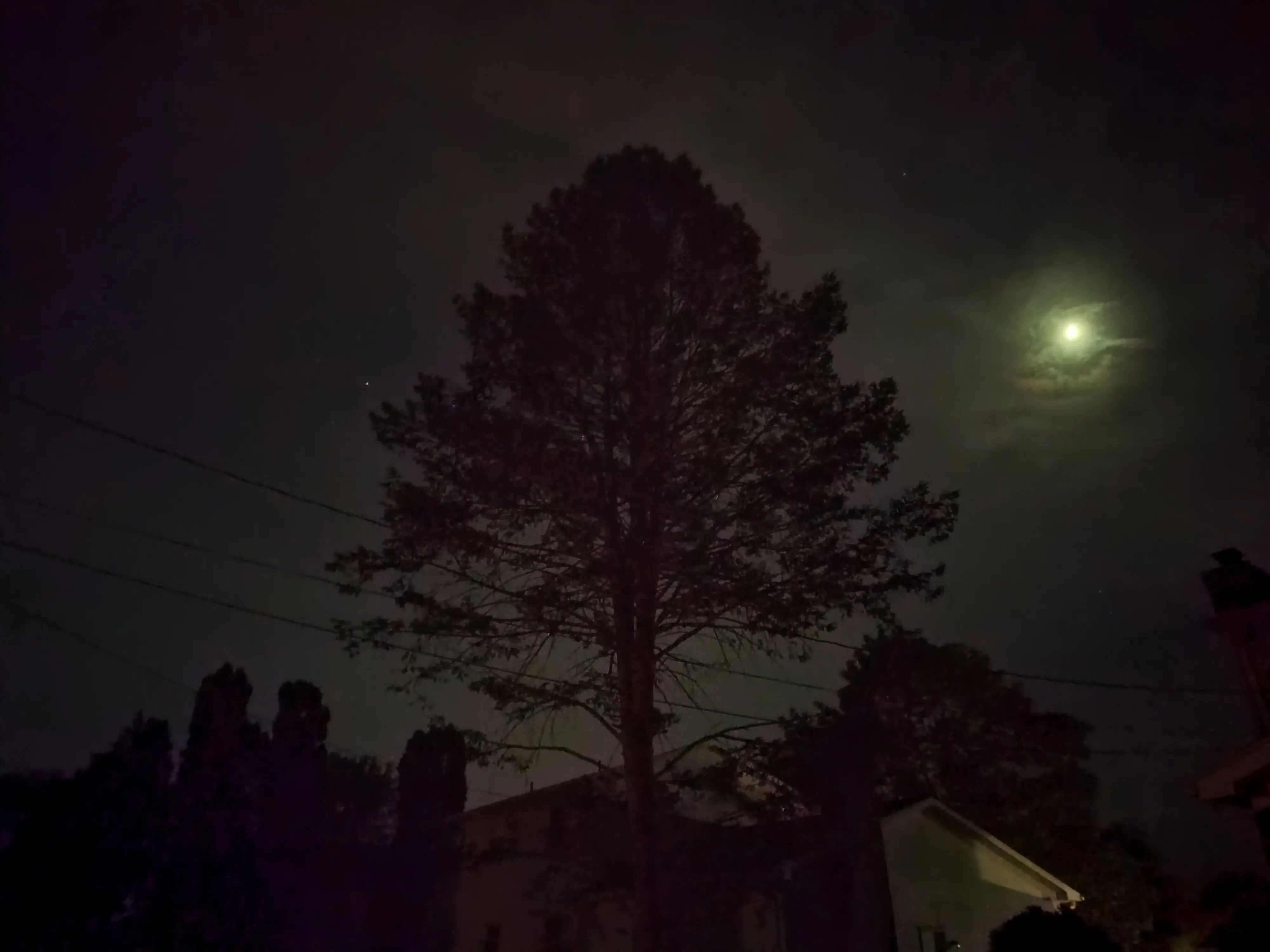Lune la nuit