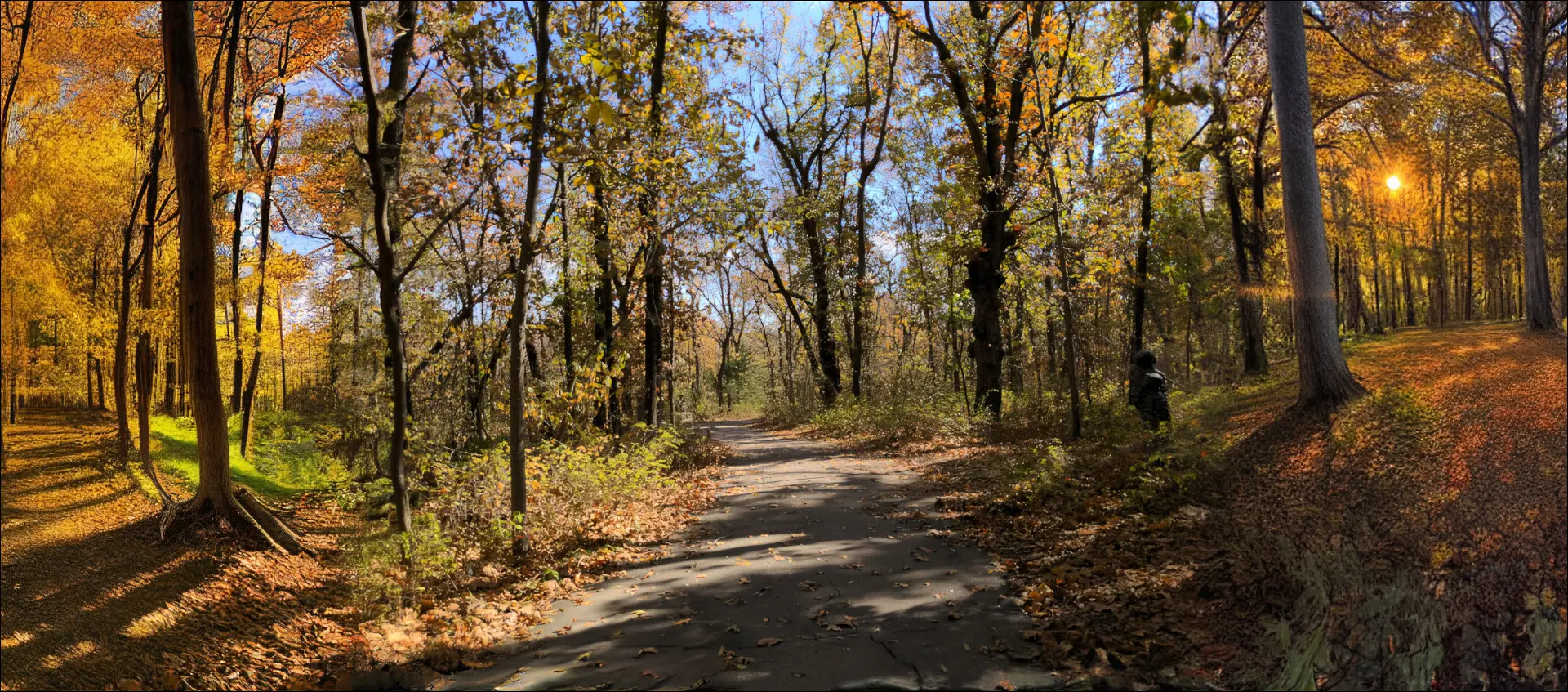 Kararlı Difüzyon kullanılarak oluşturulmuş, sol ve sağ tarafları olan sonbaharda bir yürüyüş yolunun üst ölçekli fotoğrafı.