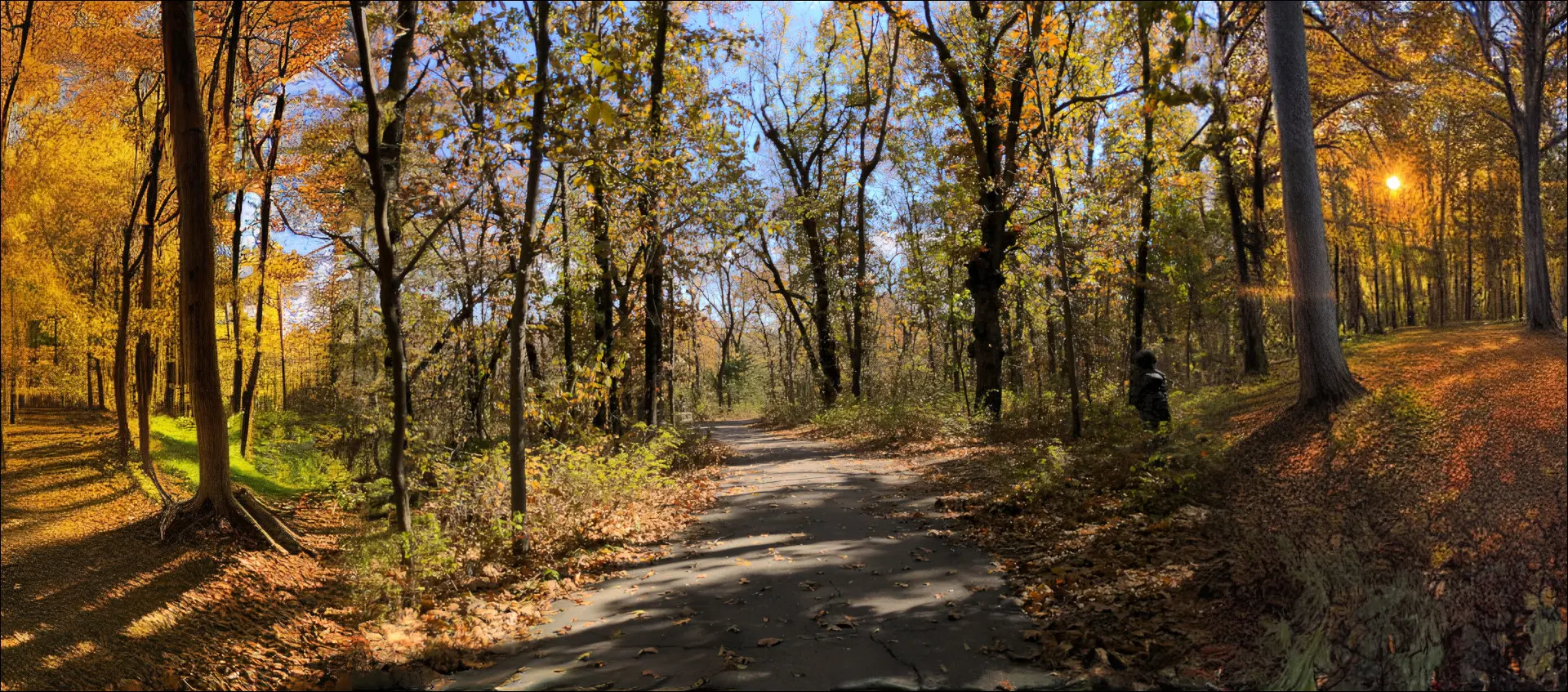 Photo agrandie d'un sentier pédestre en automne avec les côtés gauche et droit générés à l'aide de Stable Diffusion.