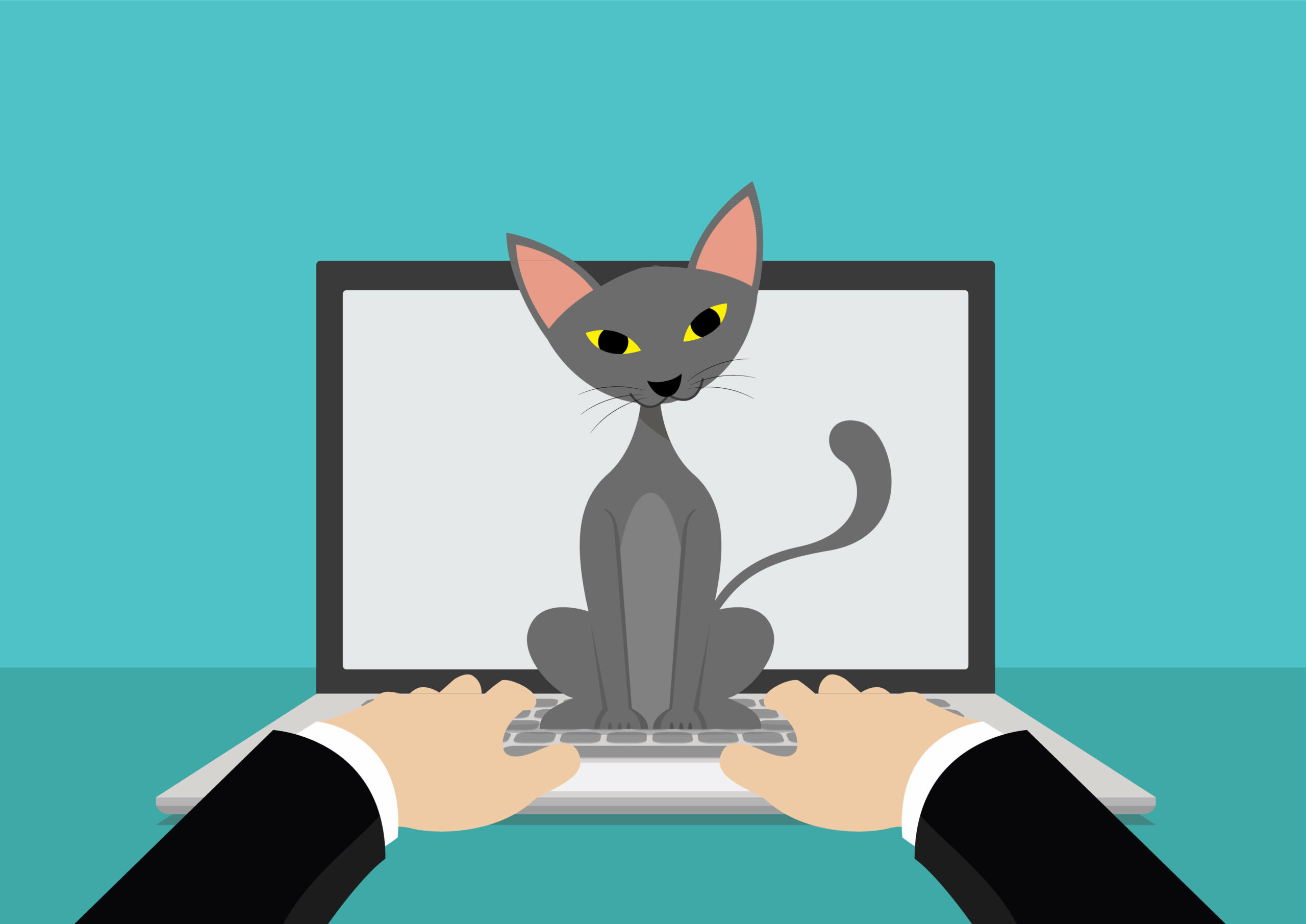 Por que os gatos andam nos teclados? Desastres causados ​​por gatos e maneiras de PC à prova de gatos